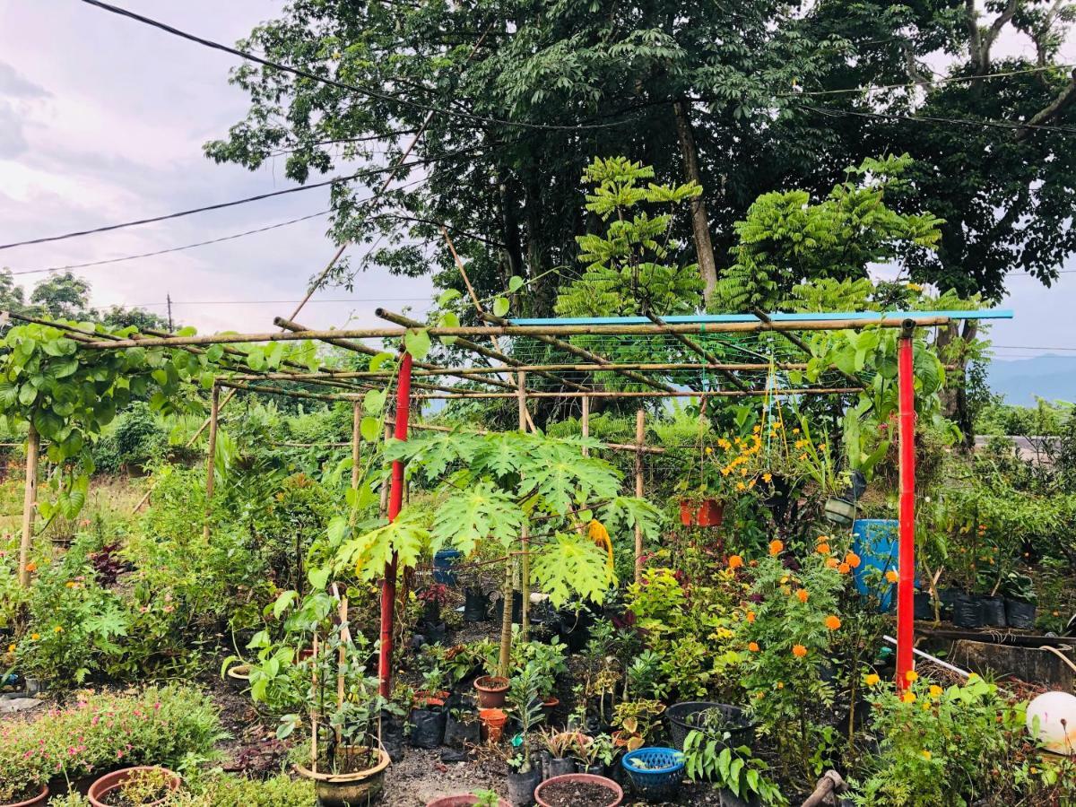Atocha Homestay - Terong@Taiping Kampong Salak エクステリア 写真
